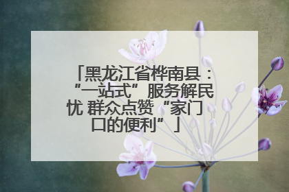黑龙江省桦南县：“一站式”服务解民忧 群众点赞“家门口的便利”