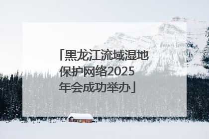 黑龙江流域湿地保护网络2025年会成功举办