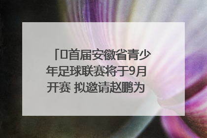 ﻿首届安徽省青少年足球联赛将于9月开赛 拟邀请赵鹏为先导赛开球