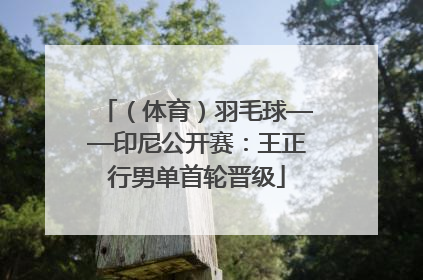 （体育）羽毛球——印尼公开赛：王正行男单首轮晋级