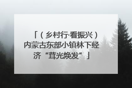 （乡村行·看振兴）内蒙古东部小镇林下经济“茸光焕发”