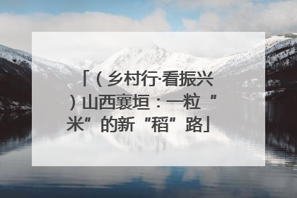 （乡村行·看振兴）山西襄垣：一粒“米”的新“稻”路