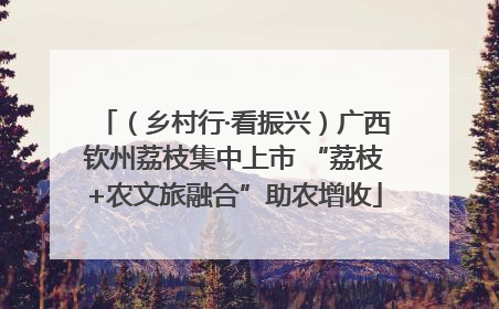 （乡村行·看振兴）广西钦州荔枝集中上市 “荔枝+农文旅融合”助农增收