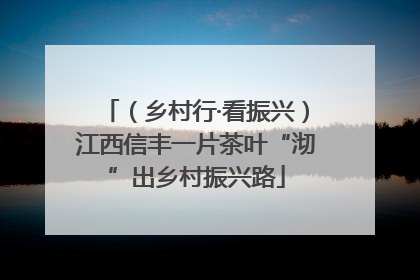 （乡村行·看振兴）江西信丰一片茶叶“沏”出乡村振兴路