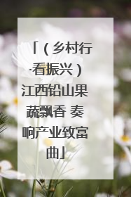 （乡村行·看振兴）江西铅山果蔬飘香 奏响产业致富曲