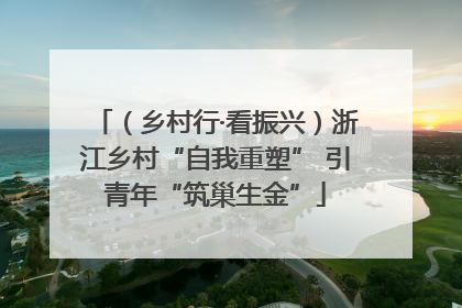（乡村行·看振兴）浙江乡村“自我重塑” 引青年“筑巢生金”