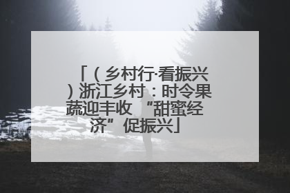 （乡村行·看振兴）浙江乡村：时令果蔬迎丰收 “甜蜜经济”促振兴