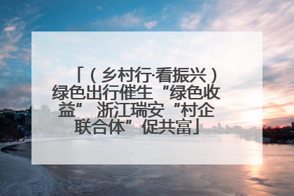 （乡村行·看振兴）绿色出行催生“绿色收益” 浙江瑞安“村企联合体”促共富