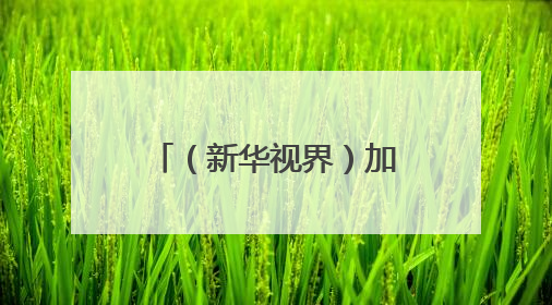 （新华视界）加拿大：野火蔓延