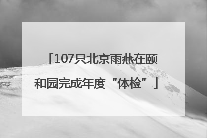 107只北京雨燕在颐和园完成年度“体检”