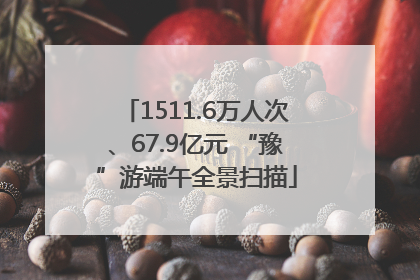 1511.6万人次、67.9亿元 “豫”游端午全景扫描