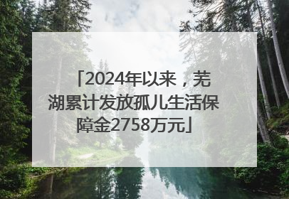 2024年以来，芜湖累计发放孤儿生活保障金2758万元