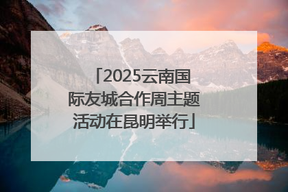 2025云南国际友城合作周主题活动在昆明举行