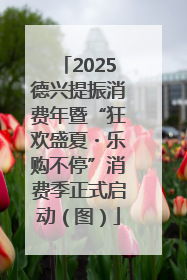 2025德兴提振消费年暨“狂欢盛夏・乐购不停”消费季正式启动（图）