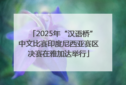 2025年“汉语桥”中文比赛印度尼西亚赛区决赛在雅加达举行
