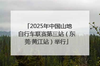 2025年中国山地自行车联赛第三站（东莞·黄江站）举行