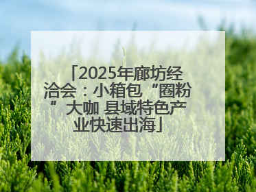 2025年廊坊经洽会：小箱包“圈粉”大咖 县域特色产业快速出海