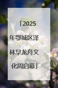 2025年鄂城区泽林旱龙舟文化周启幕