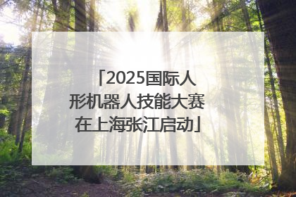 2025国际人形机器人技能大赛在上海张江启动