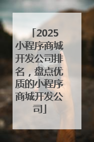 2025小程序商城开发公司排名，盘点优质的小程序商城开发公司