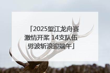 2025望江龙舟赛激情开桨 14支队伍劈波斩浪迎端午