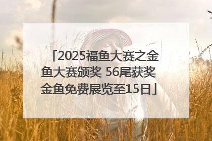 2025福鱼大赛之金鱼大赛颁奖 56尾获奖金鱼免费展览至15日