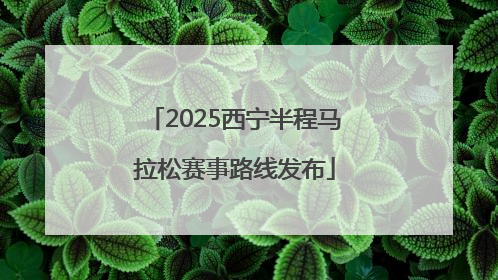 2025西宁半程马拉松赛事路线发布