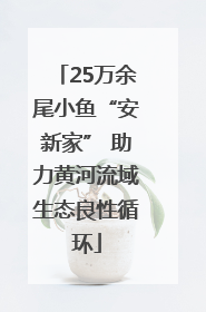 25万余尾小鱼“安新家” 助力黄河流域生态良性循环