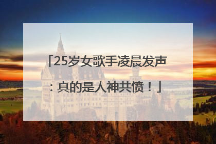 25岁女歌手凌晨发声：真的是人神共愤！