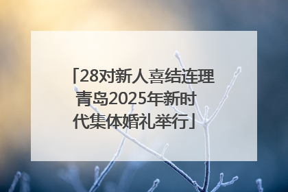 28对新人喜结连理 青岛2025年新时代集体婚礼举行
