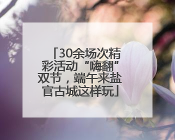 30余场次精彩活动“嗨翻”双节，端午来盐官古城这样玩