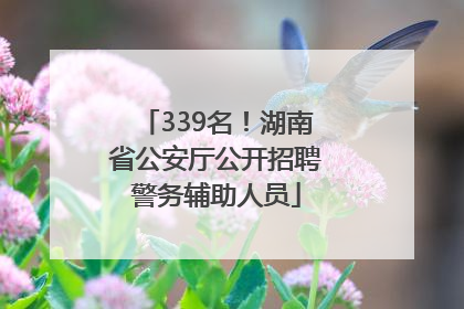 339名！湖南省公安厅公开招聘警务辅助人员