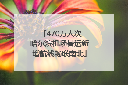 470万人次 哈尔滨机场暑运新增航线畅联南北