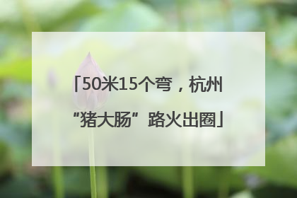 50米15个弯，杭州“猪大肠”路火出圈