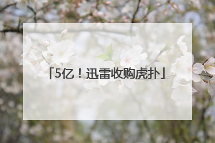 5亿！迅雷收购虎扑
