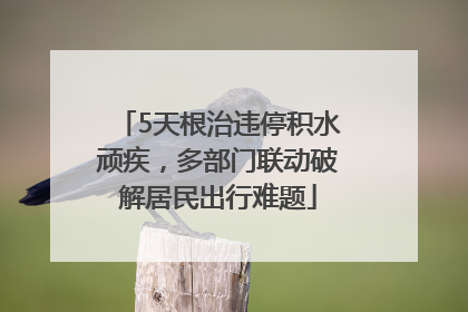 5天根治违停积水顽疾，多部门联动破解居民出行难题