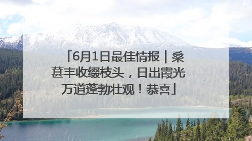 6月1日最佳情报｜桑葚丰收缀枝头，日出霞光万道蓬勃壮观！恭喜