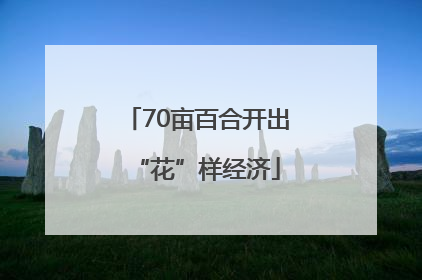 70亩百合开出“花”样经济