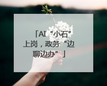 AI“小石”上岗，政务“边聊边办”