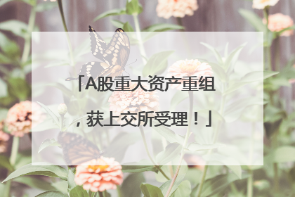 A股重大资产重组，获上交所受理！