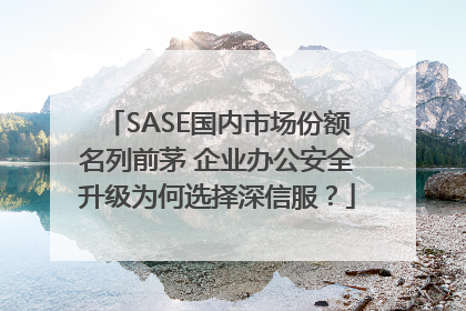 SASE国内市场份额名列前茅 企业办公安全升级为何选择深信服？