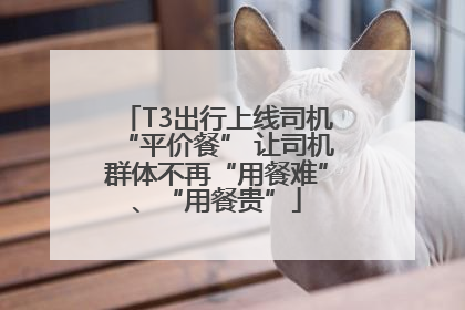 T3出行上线司机“平价餐” 让司机群体不再“用餐难”、“用餐贵”