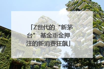 Z世代的“新茅台” 基金重金押注的新消费狂飙